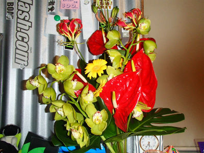 ありがとうございます