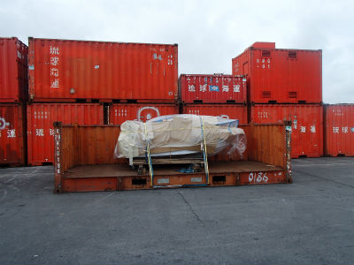 ワイルドキャット入荷