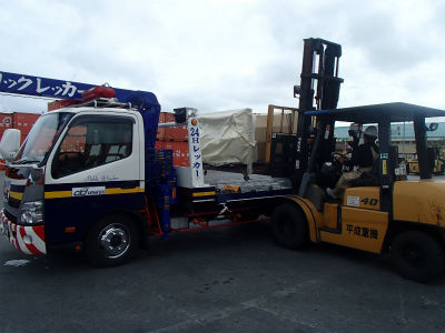 ワイルドキャット入荷