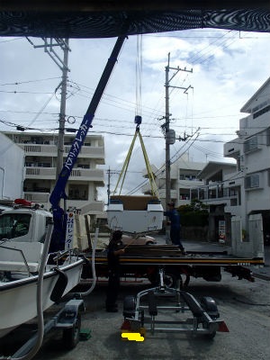 ワイルドキャット入荷