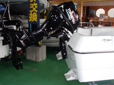 ワイルドキャット