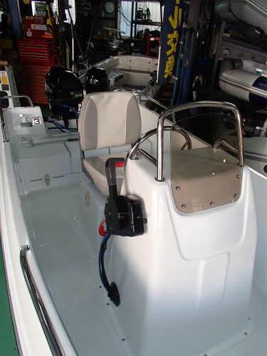 ワイルドキャット