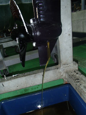 ギヤオイル交換