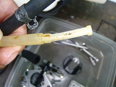 フィルター確認