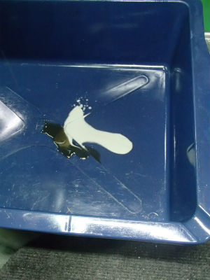 ギヤオイル確認