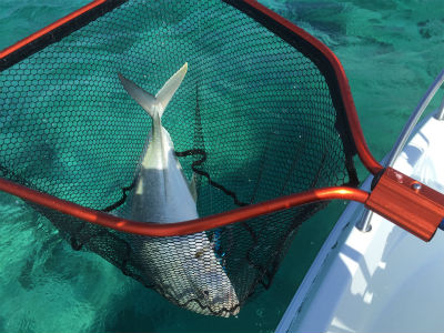 おおおっ！！！