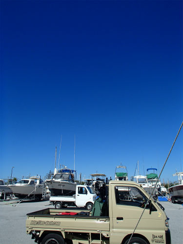 マリーナで作業