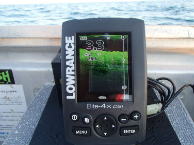 LOWRANCE