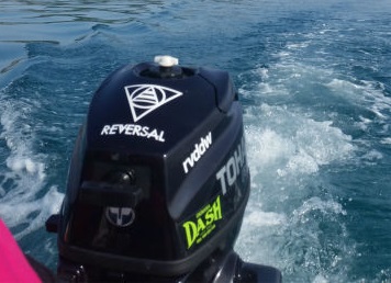 お客様からの写真