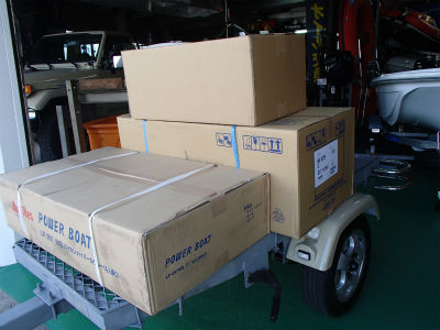 Ｄセット　入荷