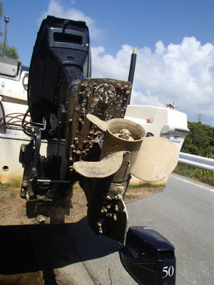 船外機　点検