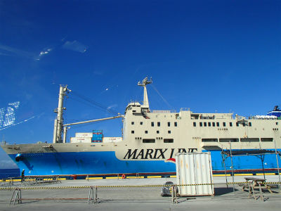 くいーんコーラルプラス