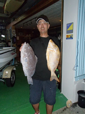 本日の釣果