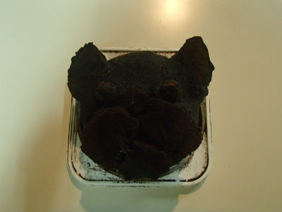 こ、これはっ！？