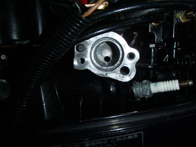 キレイになりました