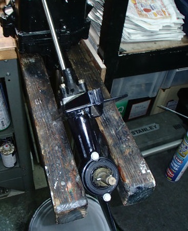 毛ぇ　はえてる？