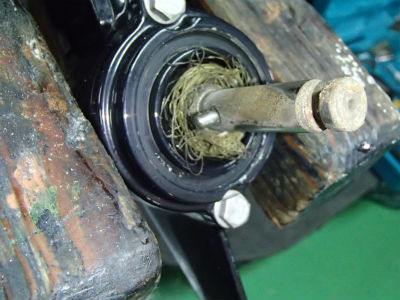 むっちゃ　はえてる