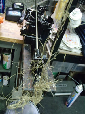 えらいこっちゃ