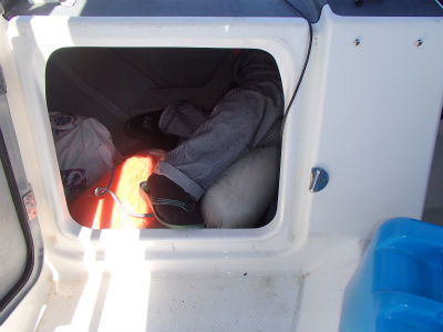 航海灯　点検・整備