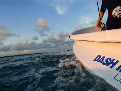 サイドフロート標準装備