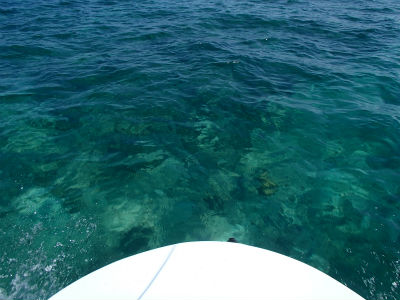 海もキレイです