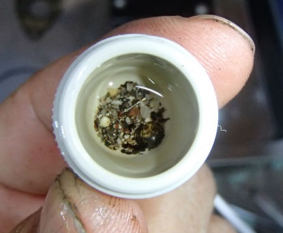 ５馬力　定期点検