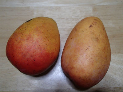 ありがとうございます