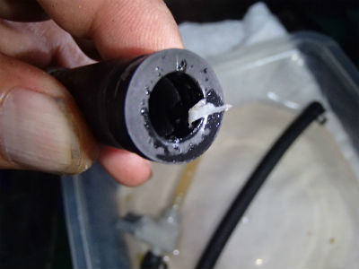 ホースの中から