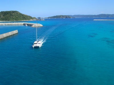 キレイですね～