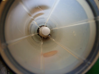 油水分離機　清掃