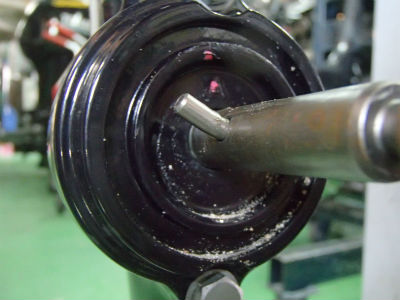 シャーピン確認