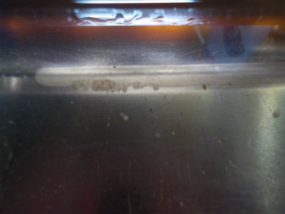 燃料ライン　点検