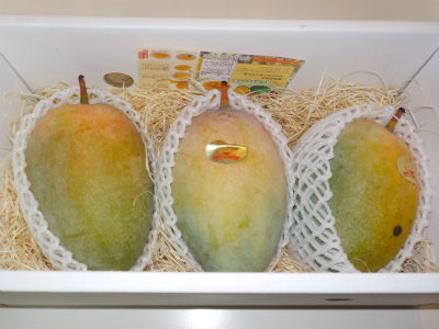 ありがとうございます