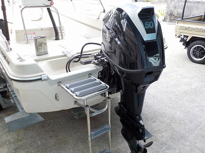 ラダーステップ