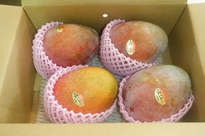 ありがとうございます