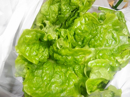 ありがとうございます