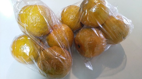 ありがとうございます