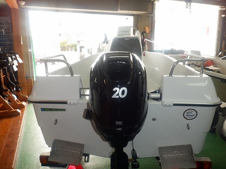 ワイルドキャット