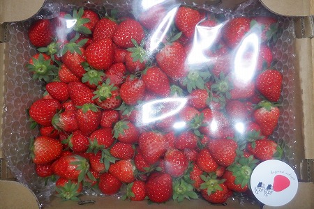 ありがとうございます