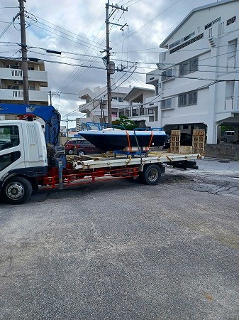 ワイルドキャット入荷