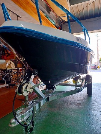 ワイルドキャット入荷