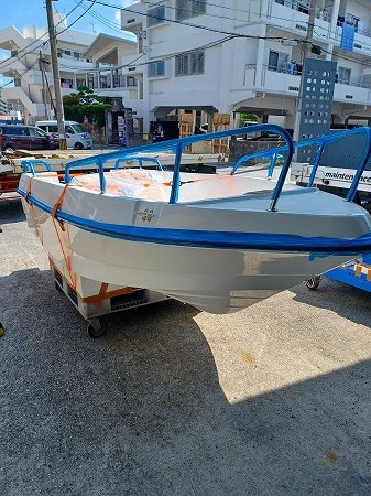 ワイルドキャット入荷