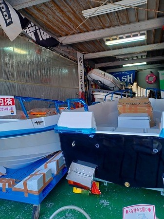 ワイルドキャット入荷