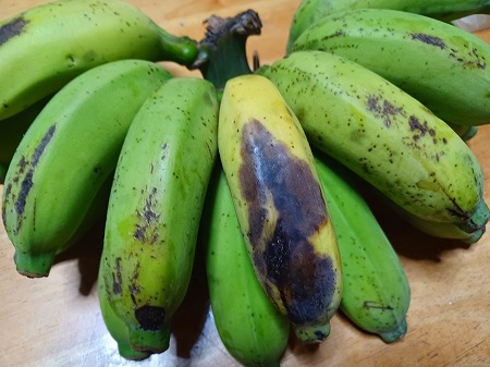 ありがとうございます