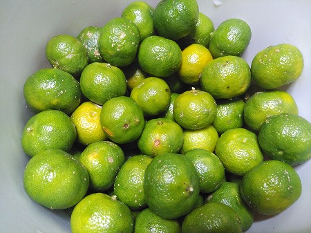 ありがとうございます